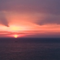 Cotentin2007 (42)